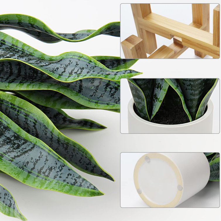 Primrue 19'' Faux Snake Plant Plant in Pot Wayfair Canada